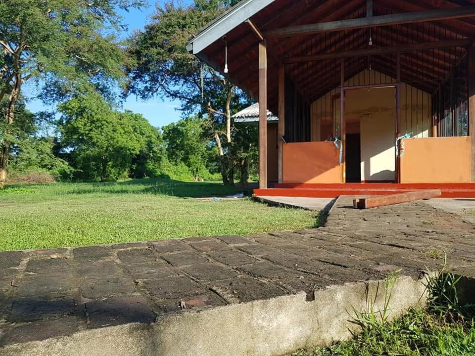 Front view